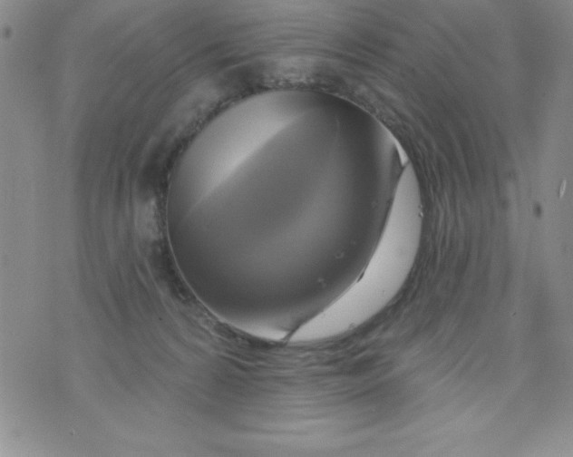 X0000075900224200610062126