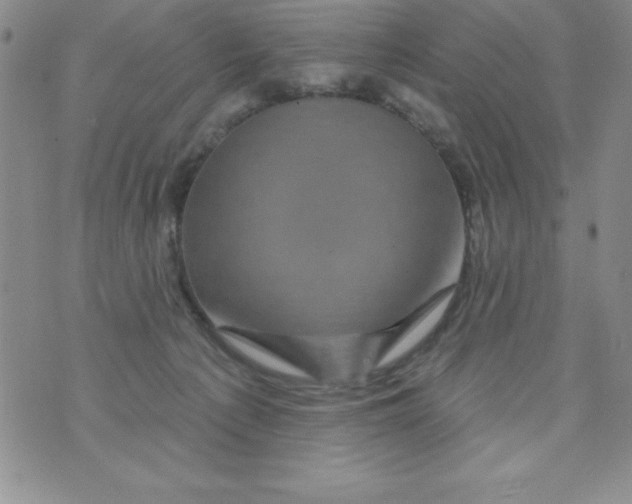 X0000075900225200610062126