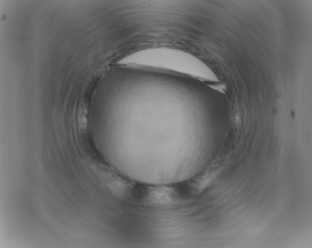 X0000075900226200610062126