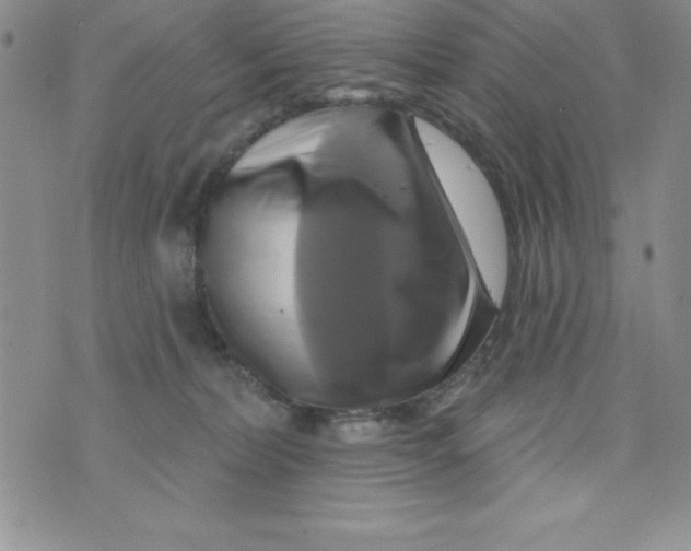 X0000075900228200610062126