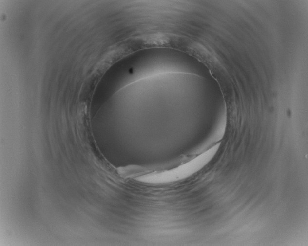 X0000075900229200610062126