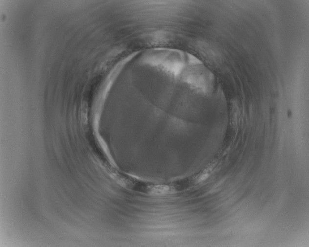 X0000075900230200610062126