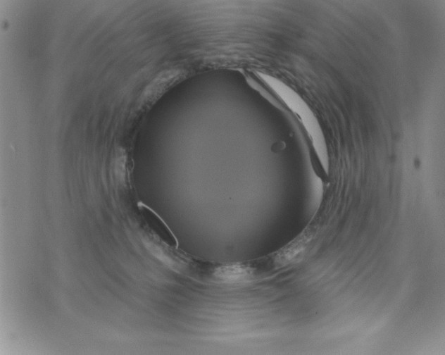 X0000075900231200610062126