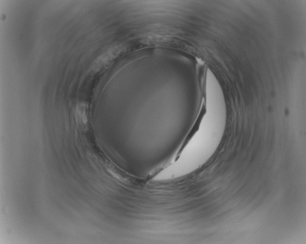 X0000075900232200610062126