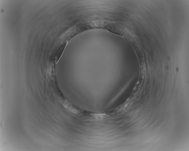 X0000075900233200610062125