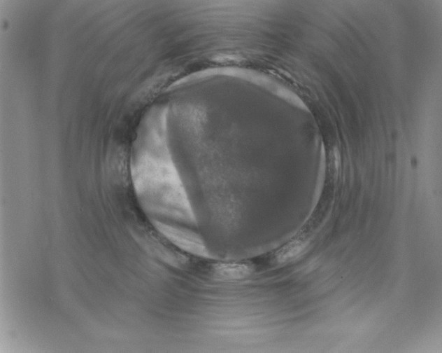 X0000075900234200610062125