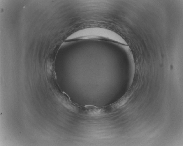 X0000075900235200610062125