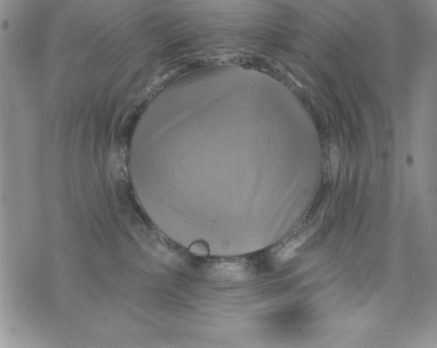 X0000075900236200610062125