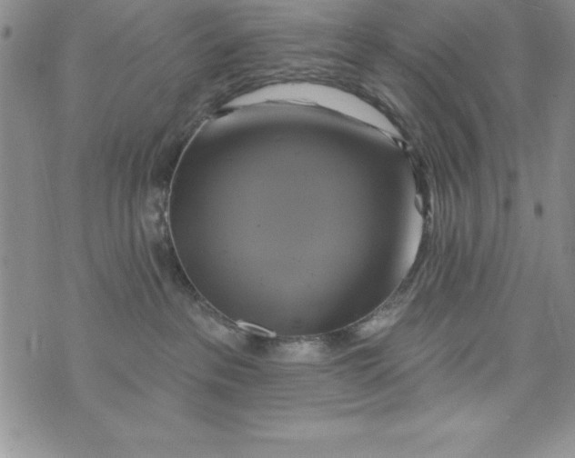 X0000075900237200610062125