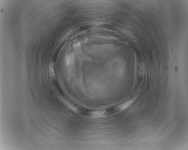 X0000075900238200610062125