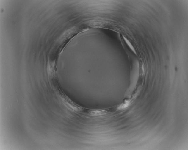 X0000075900239200610062125