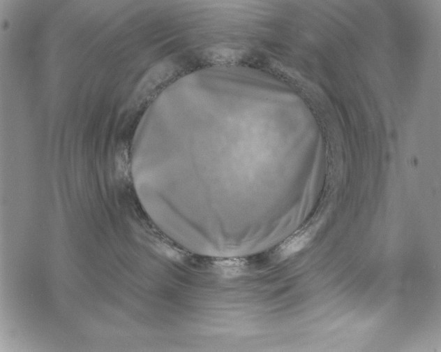 X0000075900240200610062125