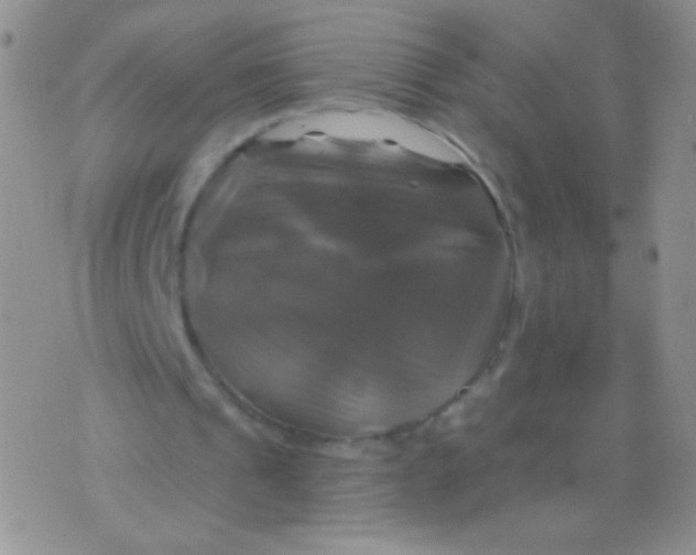 X0000075900241200610062125