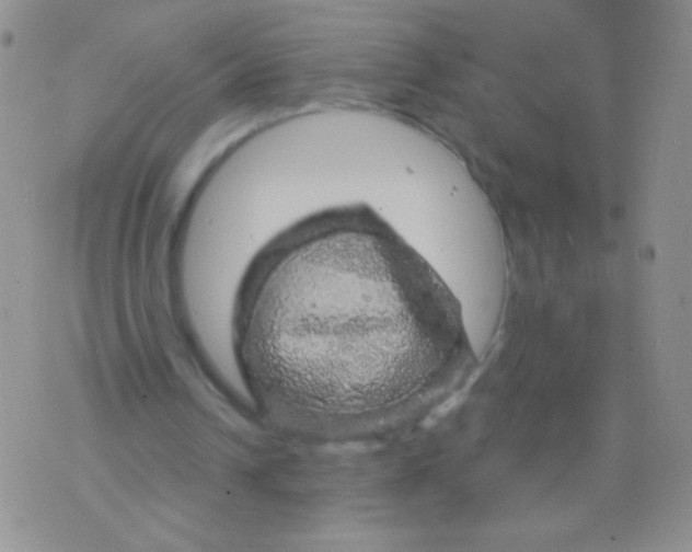 X0000075900242200610062125