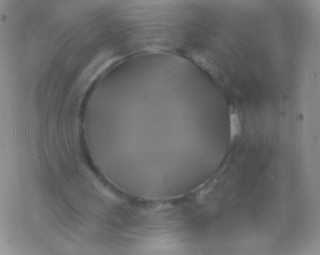 X0000075900243200610062125