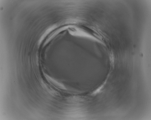 X0000075900244200610062125