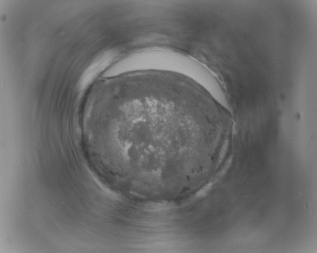 X0000075900245200610062125