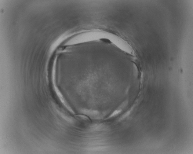 X0000075900246200610062125