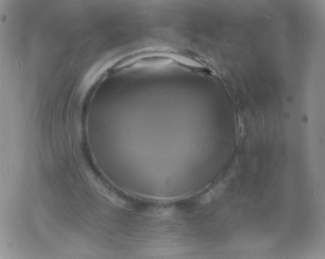 X0000075900247200610062125