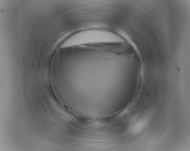 X0000075900249200610062125