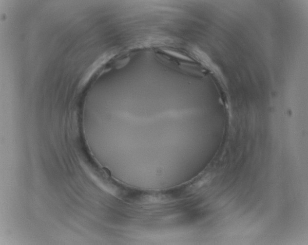 X0000075900250200610062125