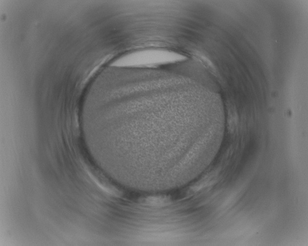 X0000075900251200610062125