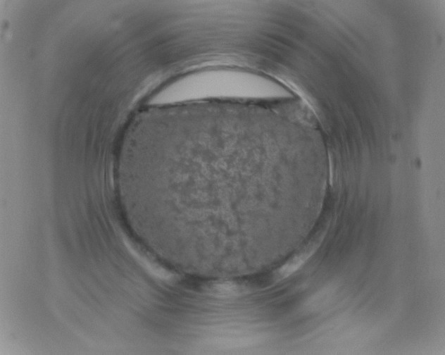 X0000075900253200610062125