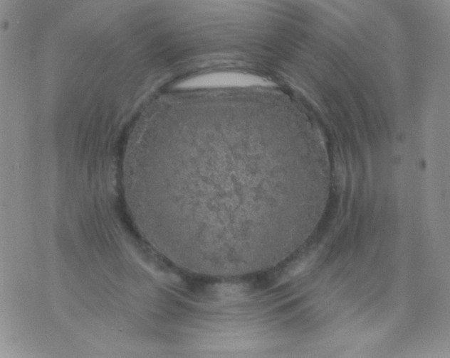 X0000075900255200610062125