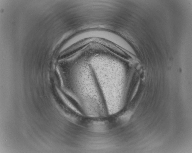 X0000075900256200610062125