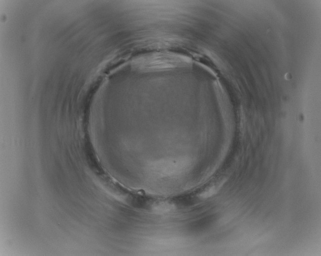 X0000075900258200610062125