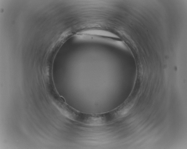 X0000075900260200610062125