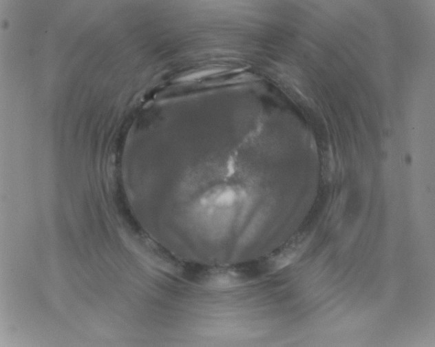 X0000075900263200610062125