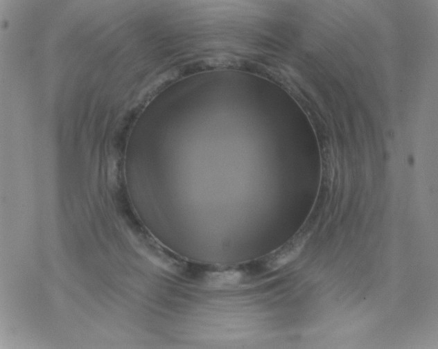 X0000075900266200610062125