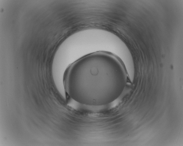 X0000075900268200610062125