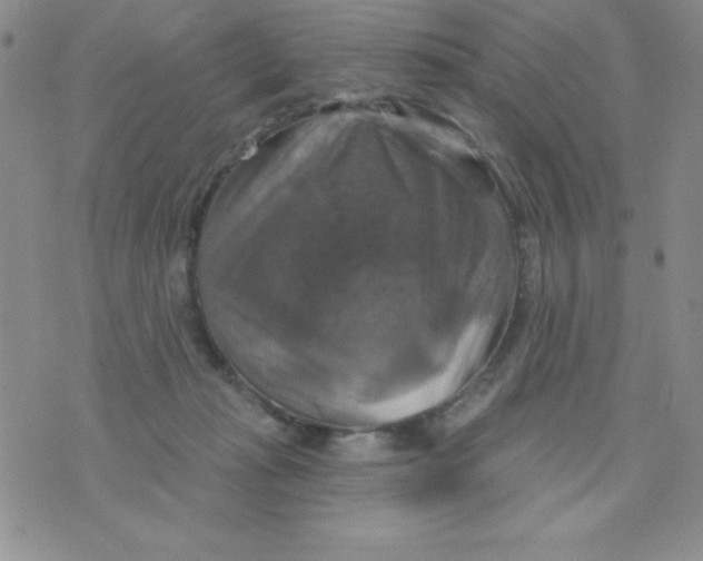 X0000075900269200610062125