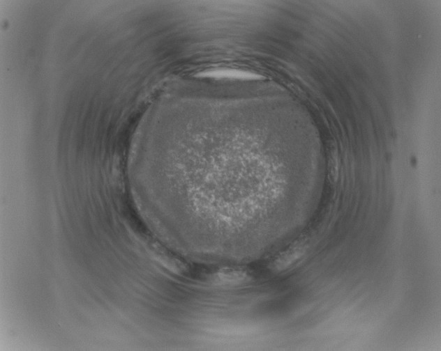 X0000075900270200610062125