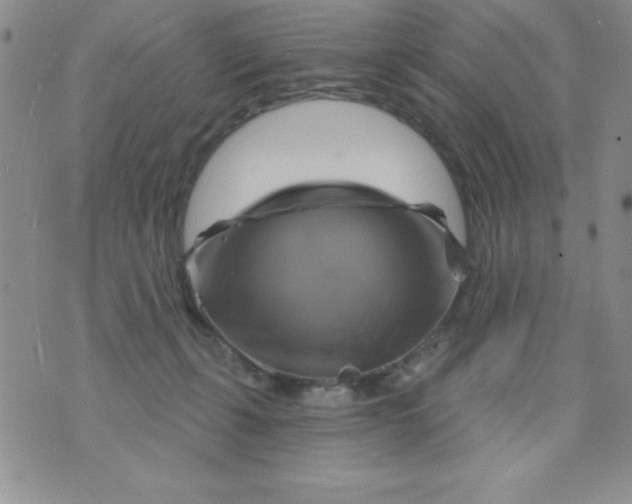 X0000075900271200610062125