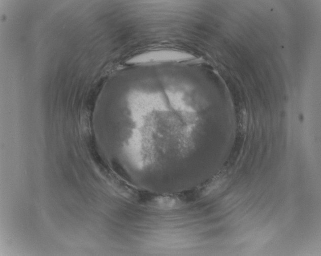 X0000075900272200610062125