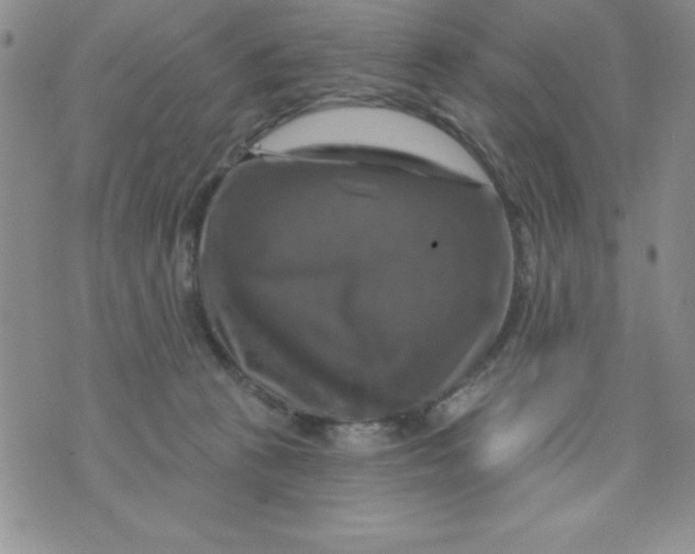 X0000075900273200610062125