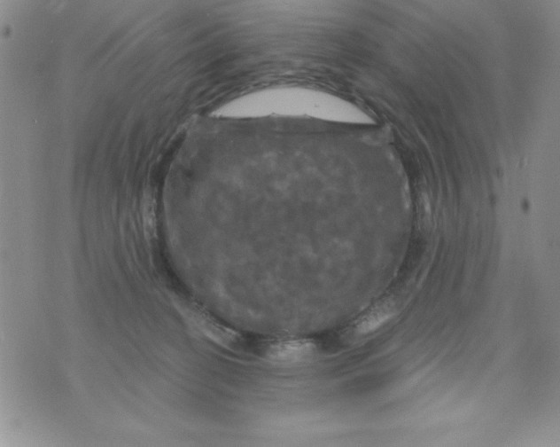 X0000075900274200610062125