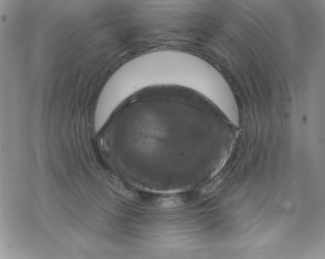 X0000075900275200610062125