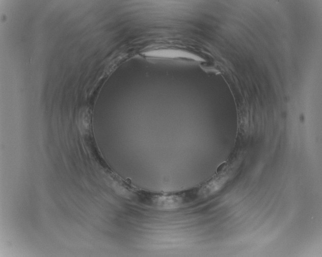 X0000075900277200610062125