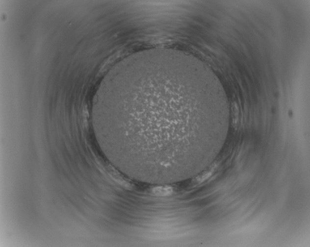 X0000075900279200610062125