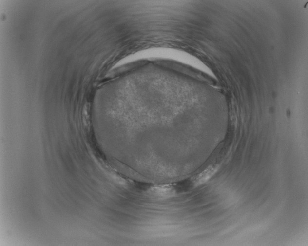 X0000075900280200610062125