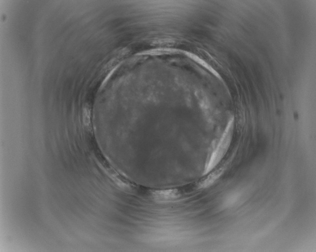 X0000075900281200610062125