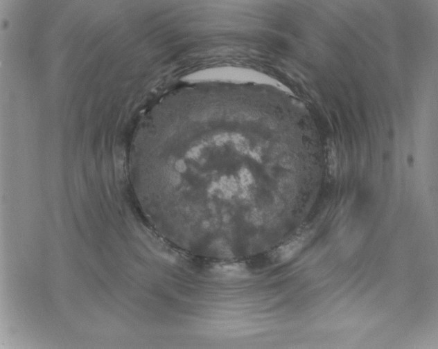 X0000075900283200610062125