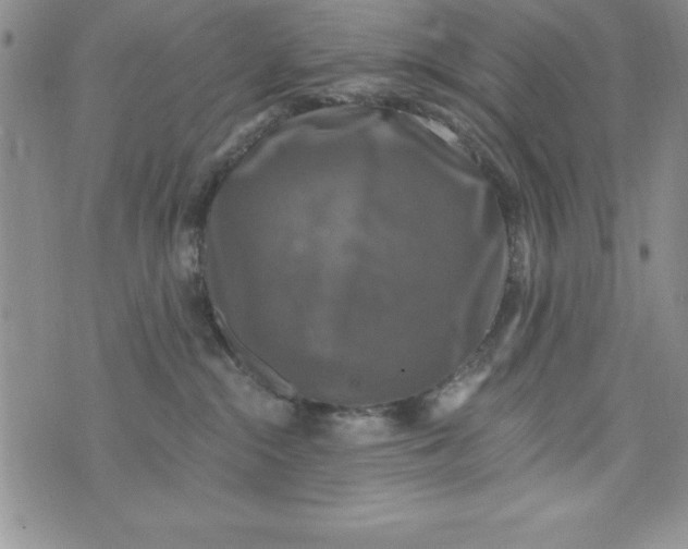 X0000075900284200610062125