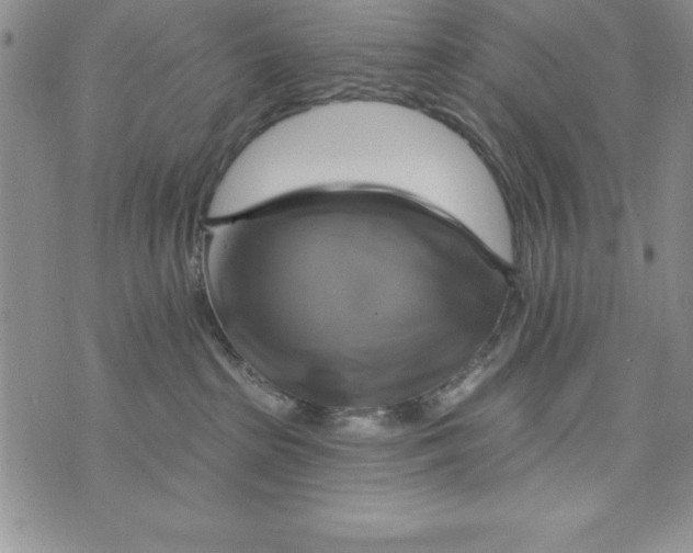 X0000075900285200610062125