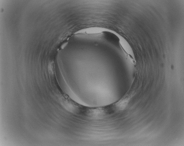 X0000075900286200610062125