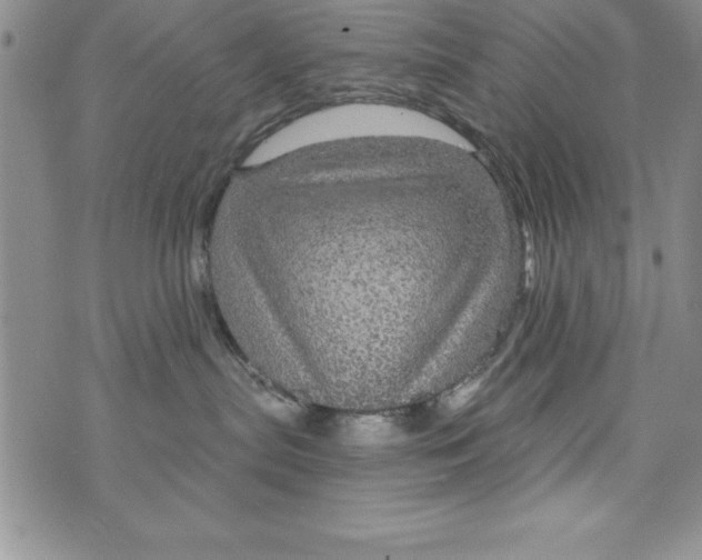 X0000075900287200610062125